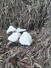 20191205_134242_Richtone(HDR).jpg