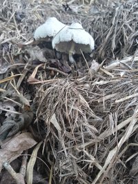 20191205_134206_Richtone(HDR).jpg