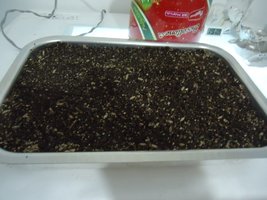 pan-mg-cd03.jpg