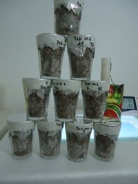 pan-mg-cd08.jpg