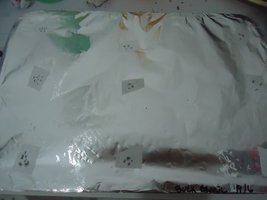 pan-mg-cd14.jpg