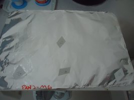 pan-mg-cd27.jpg