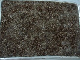 pan-mg-cd43.jpg