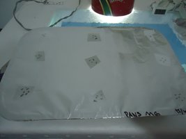 pan-mg-cd04.jpg