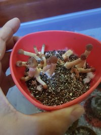 20191208_092816.jpg