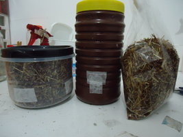 po-capim-cd05.jpg