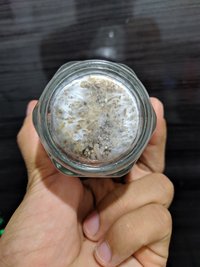 IMG_20191208_205529.jpg