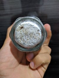IMG_20191208_205551.jpg