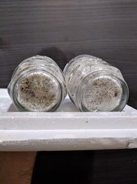 IMG_20191208_205506.jpg
