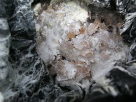 po-iv37.jpg