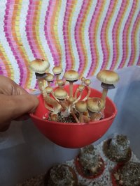 20191209_072531.jpg