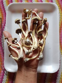 20191209_074037.jpg