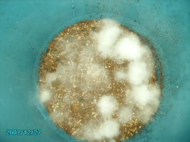PICT0644.JPG