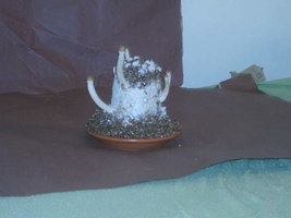 IMAG0149.JPG