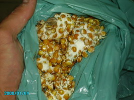 PICT0656.JPG