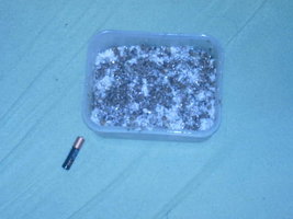 IMAG0009.JPG