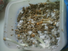 IMAG0014.JPG