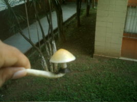 IMAG0007.JPG