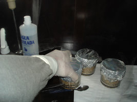 colocando_glovabox.jpg