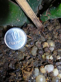 DSCN3978.JPG DSCN3978.JPG