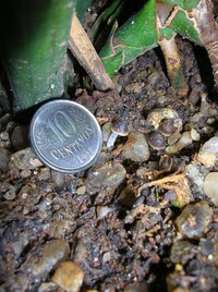 DSCN3979.JPG