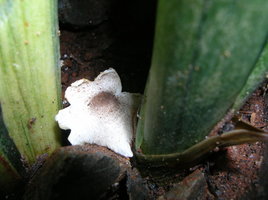 DSCN4072.JPG