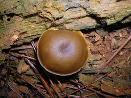 DSCN3975.JPG