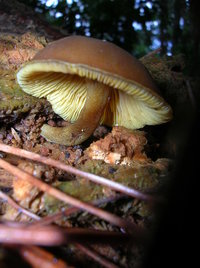 DSCN3974.JPG