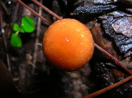 DSCN4188.JPG