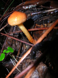DSCN4190.JPG