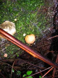 DSCN4146.JPG