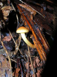 DSCN4149.JPG
