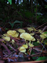 DSCN3969.JPG