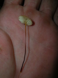 DSCN4174.JPG