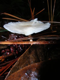 DSCN4178.JPG