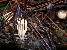 DSCN4181.JPG