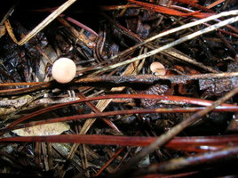 DSCN4182.JPG
