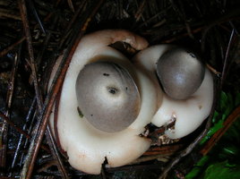DSCN4154.JPG