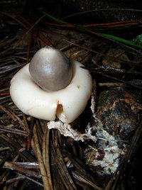 DSCN4156.JPG