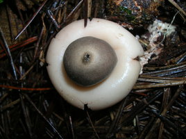 DSCN4157.JPG