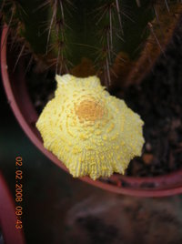 DSCN4213.JPG