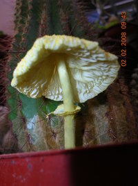 DSCN4216.JPG