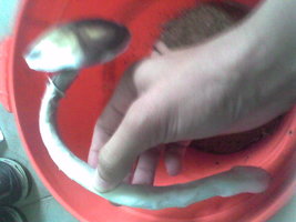 Imag005.jpg