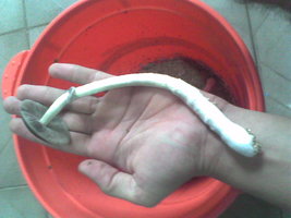 Imag006.jpg