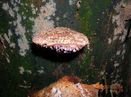 DSCN4272.JPG