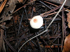 DSCN4295.JPG
