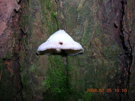 DSCN4265.JPG