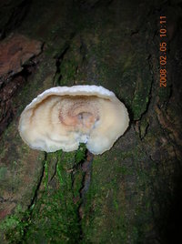 DSCN4266.JPG