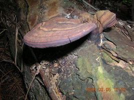 DSCN4305.JPG