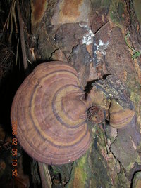 DSCN4304.JPG